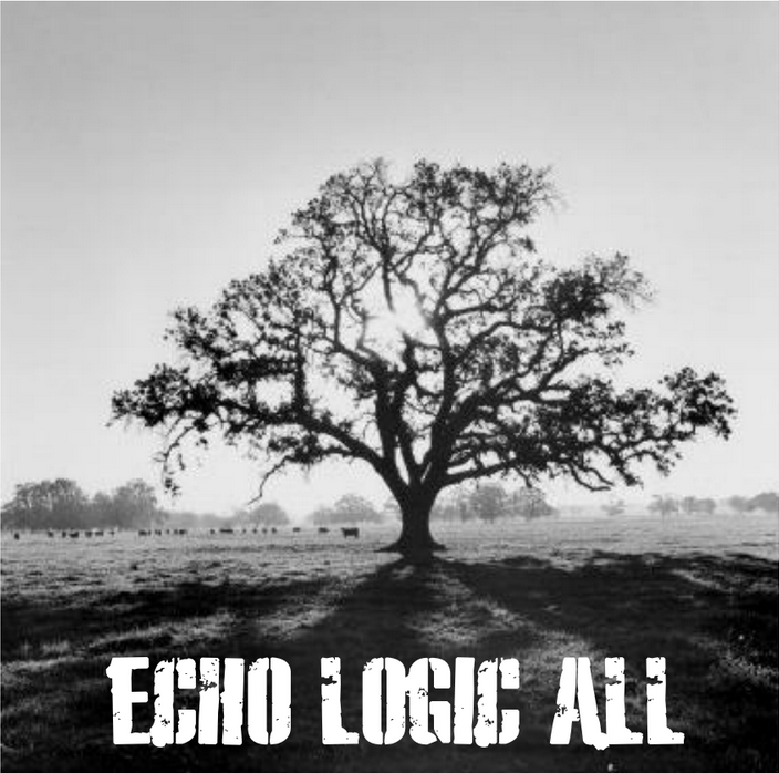 ECHO LOGIC ALL